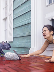 I'm being treated like a bitch because I acted like a bitch - Doggy Door by Tab109